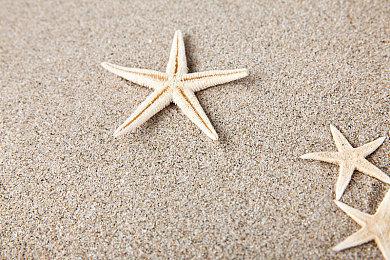 月末前登录《街头霸王6》可获赠鬼冢虎运动鞋